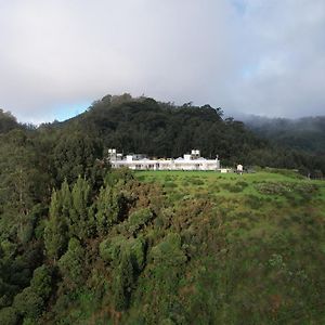 Delightz Inn